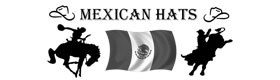 Mini Banner Hot - Mexican Hats
