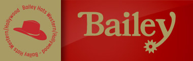 Mini Banner Hot -  Baylei