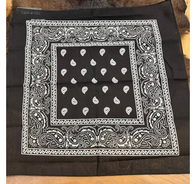 image_ae54f2b6-4f48-442a-942d-8bfd30205054