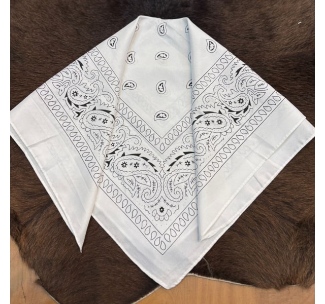 image_a656f960-14d4-43c8-8ad5-e06c5d3b8e7a