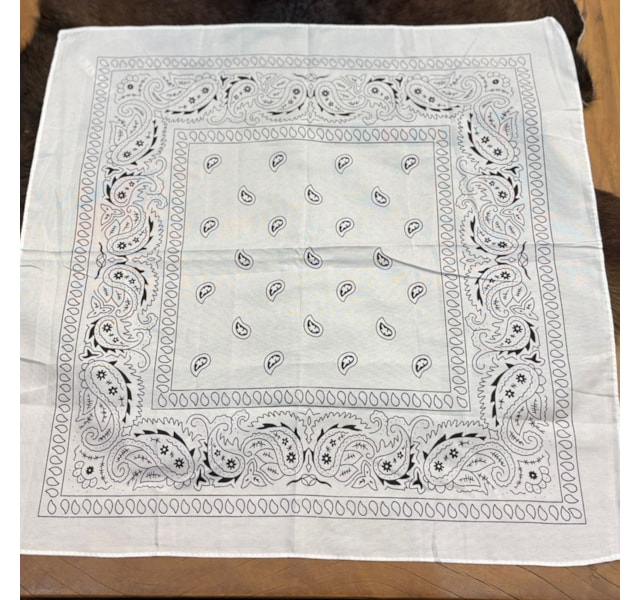 image_bd8bcf4f-d9d7-4a70-a8ff-01a41babf6a6