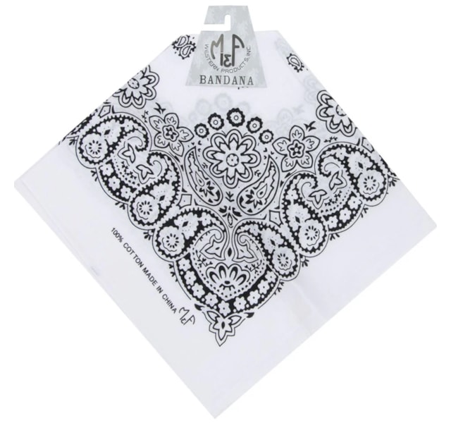 image_e65590ab-9d6e-4e39-99d0-dbc24e9cd898