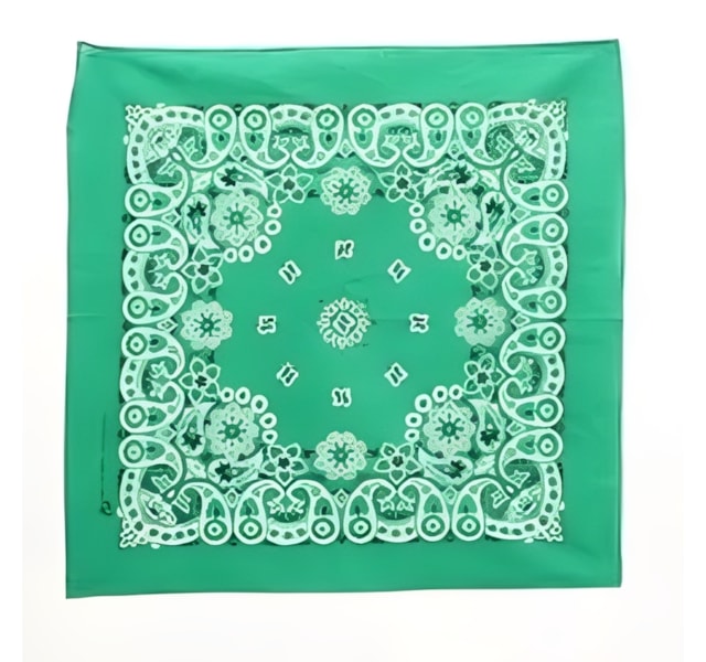 image_9ca11c25-17b5-4cb0-8ee2-20bfbe4604d6