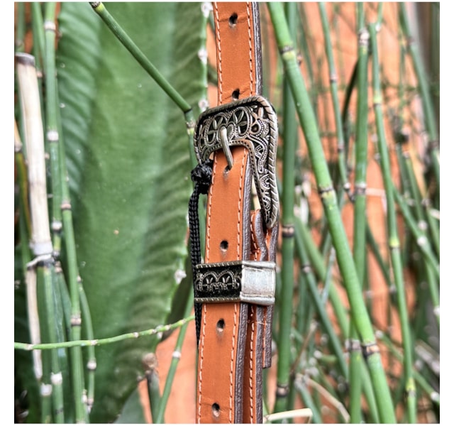 image_d207a6c5-3e9b-406c-b0c4-d854ddc43616