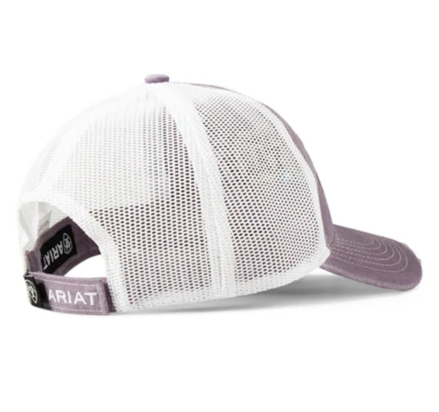 image_6d679cd8-dea2-435c-9f45-53ed191e480d