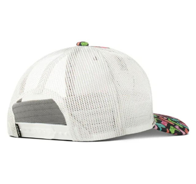 image_1e0c85f5-8b48-4780-bcfa-d372e429cf5a