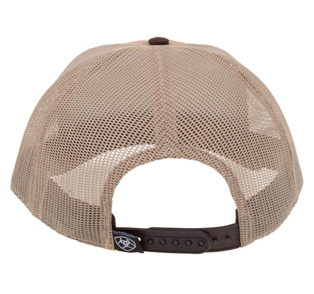 image_1e03febe-9f4d-4802-8d56-fc31474f0c9b