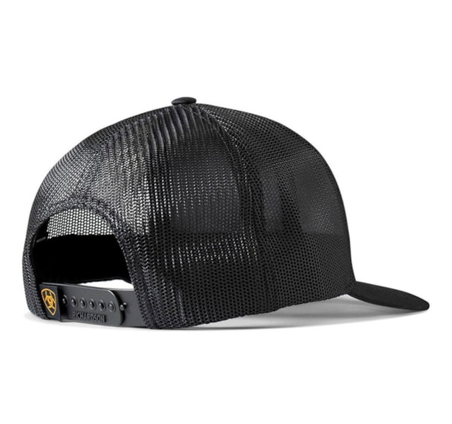 image_951c20a8-eee9-412b-b049-afd4596bc1c3