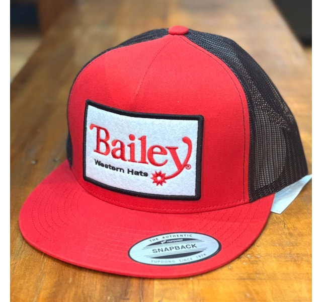 image_a4211f3c-a783-4b5e-a2ab-7f58678e5797