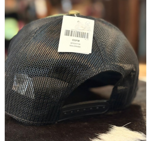 image_bc2e8ea0-56ce-4cfc-ba8d-548dd76b758e