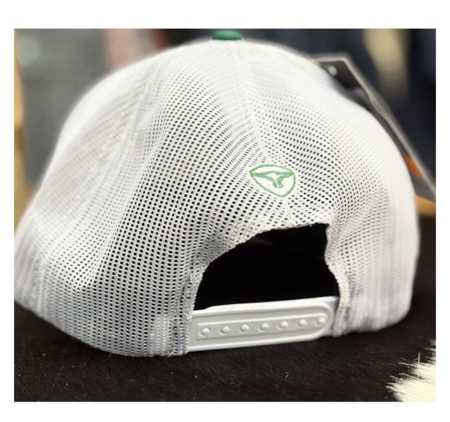 image_62d10c3a-0dbd-454e-a1dd-c3620be9e329