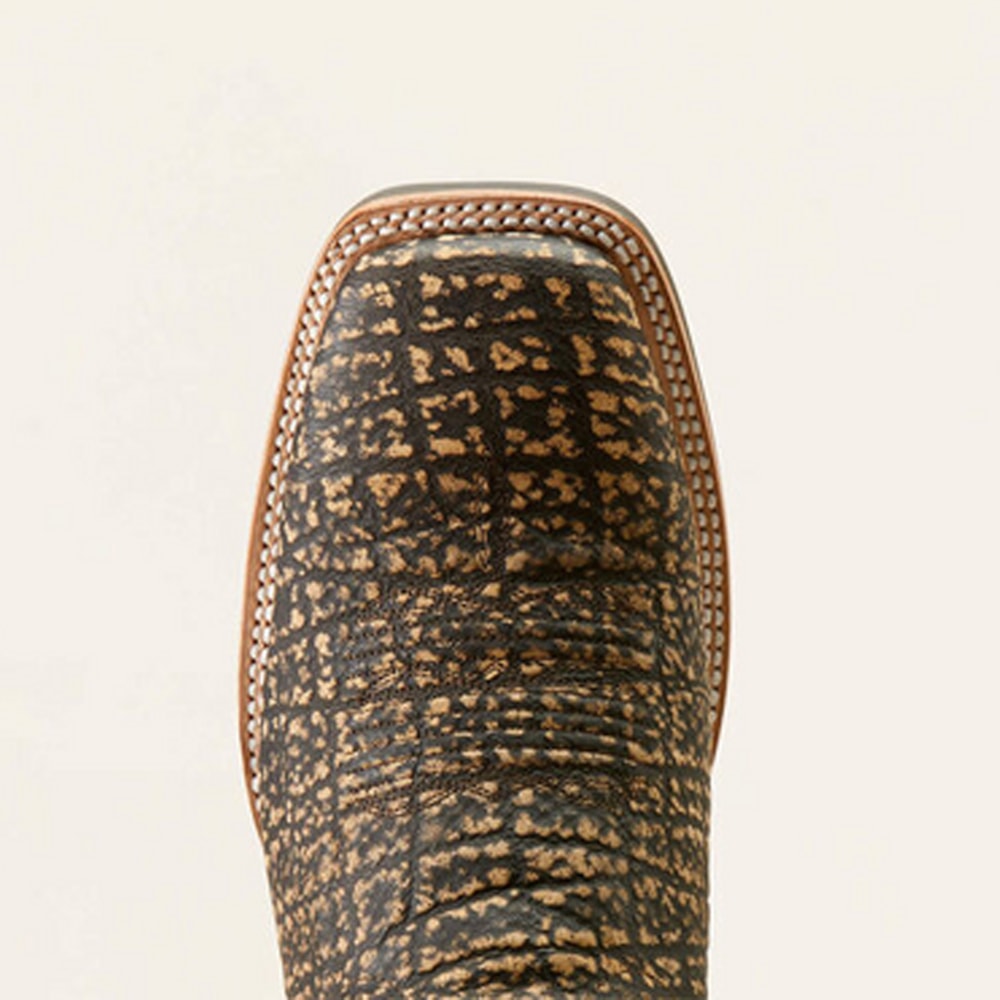 image_5cc8ca09-3539-49bd-b109-2884e334a685