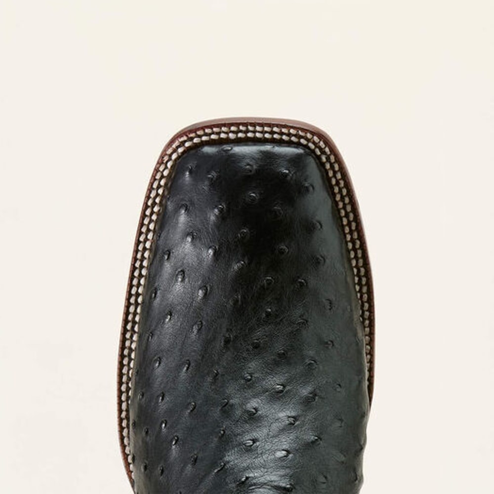 image_52e72285-fafd-4d63-86eb-39a98823f07d