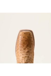 Bota Ariat Avestruz Honey Tan Full Quill Ostrichi/Chestnut 10053580