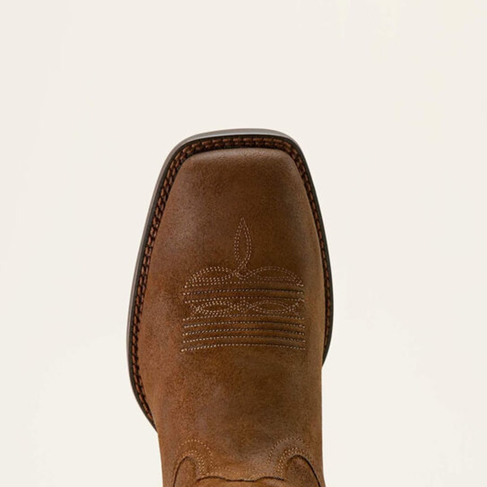 image_626bd225-d8ee-4d1d-b655-9c4c6d7060d6