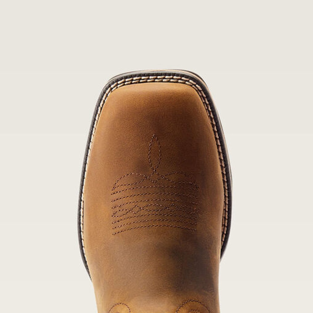 image_da027be1-8a39-4bec-acb3-cbd6e33db389