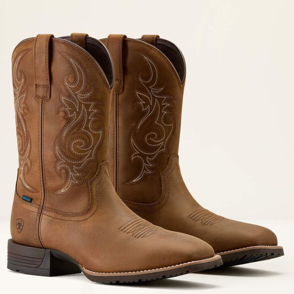 image_0f11087c-49be-4913-9319-ccd409068df5