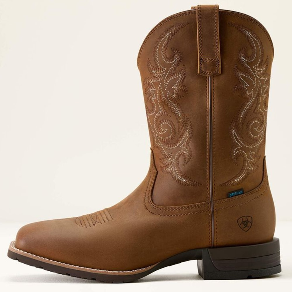 image_7c3518f9-923c-493e-89de-c2a91438a44d