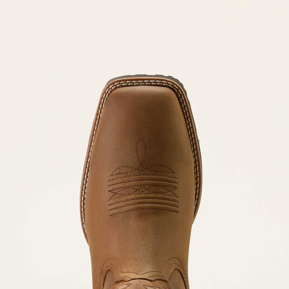 image_e15c5d8c-1e32-437c-999a-75f27b010d99