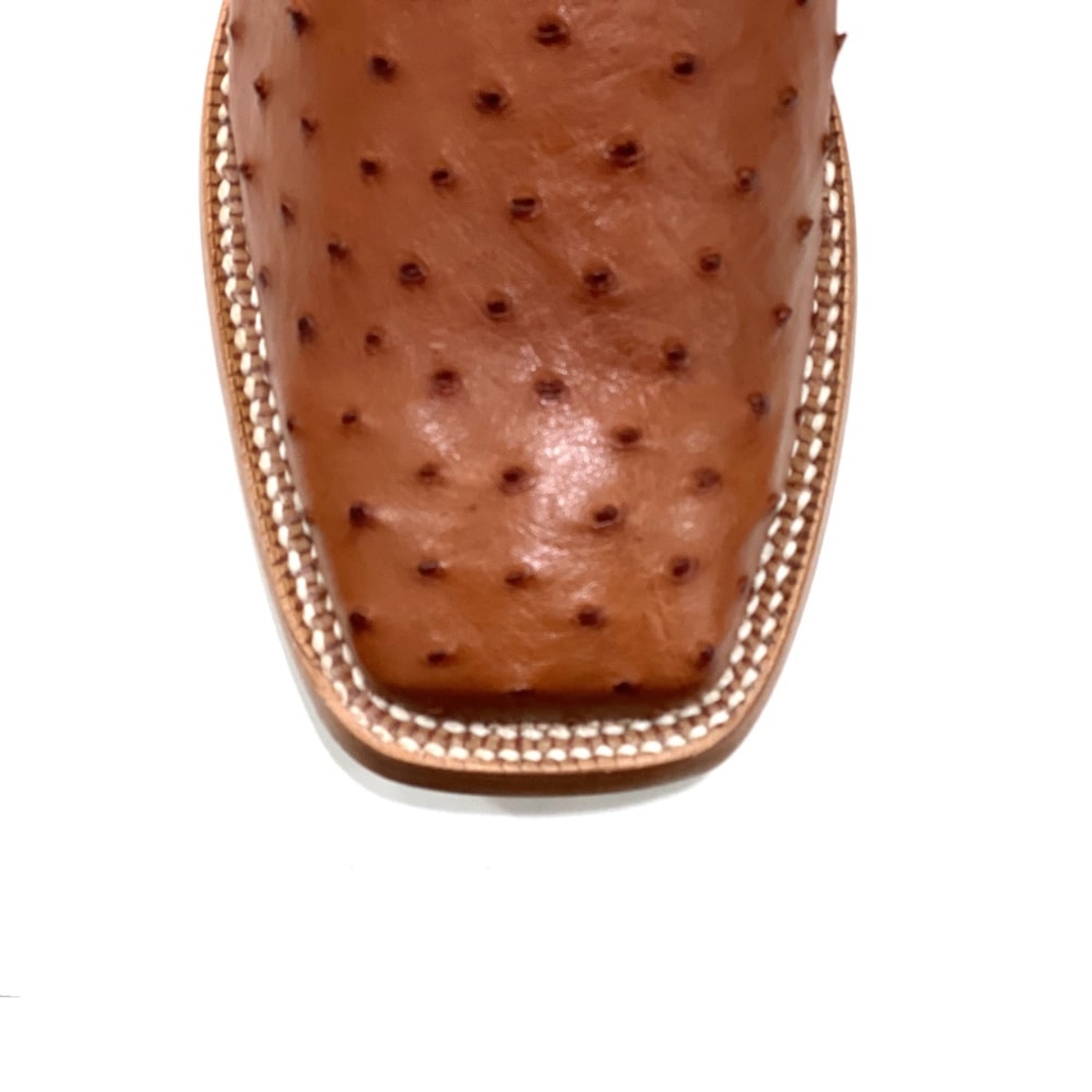 image_df679ee1-88b8-4dda-bcb4-afebd0328658