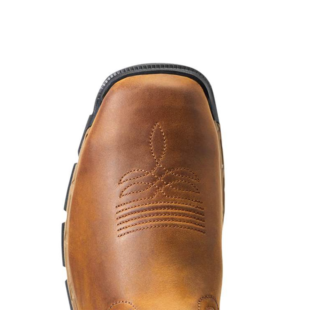 image_ead56c92-47fd-4ec0-b275-b291128b9f0a