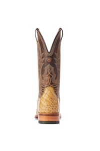 Bota Ariat Jacaré Gunslinger 10042476