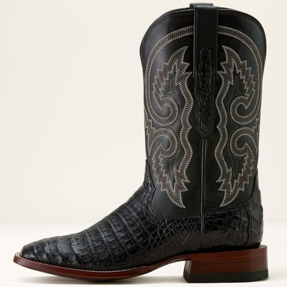 image_7b7d9155-9fc8-4594-b245-36ace418b382