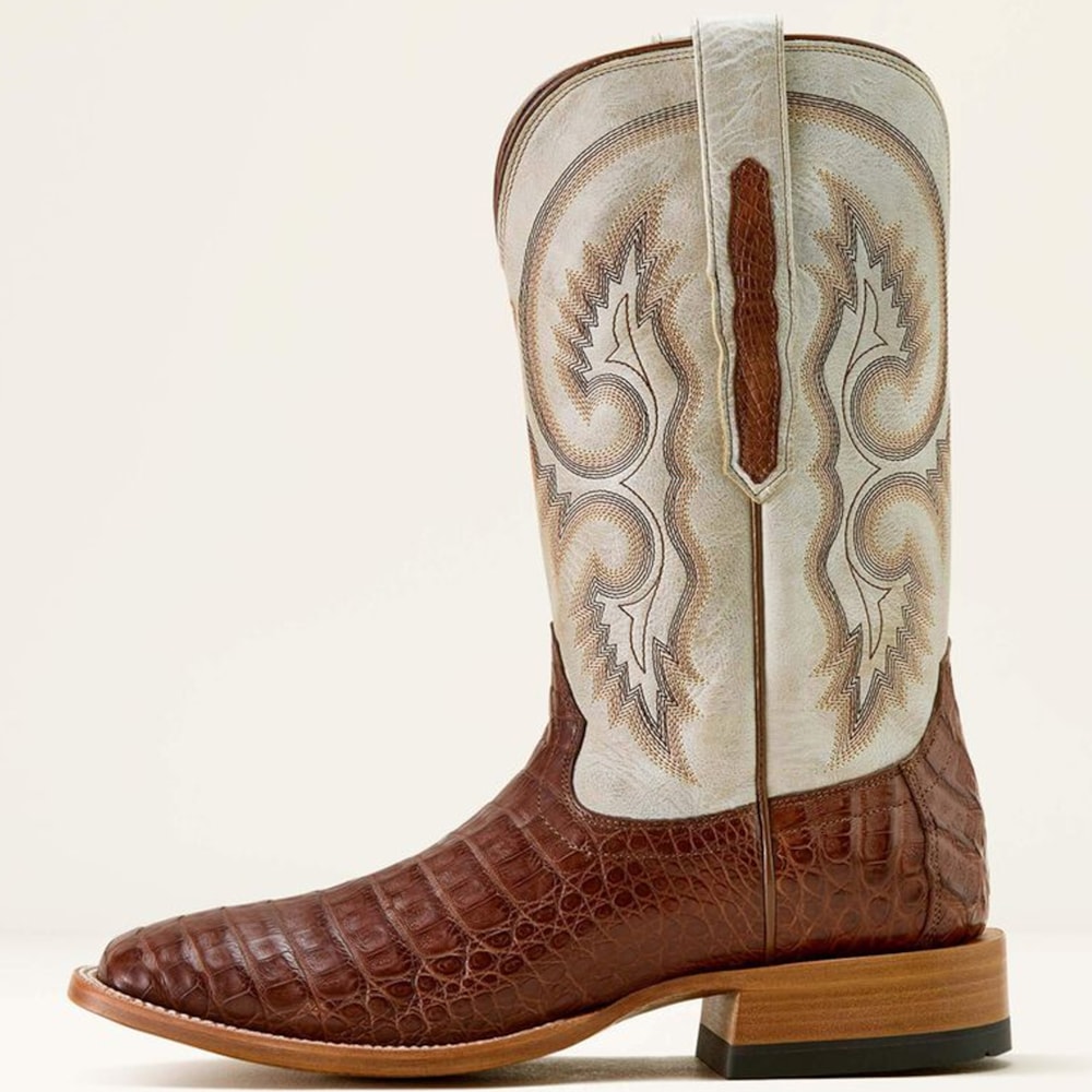 image_c6946ae9-f9c5-4c1a-a819-40edd0093e3e