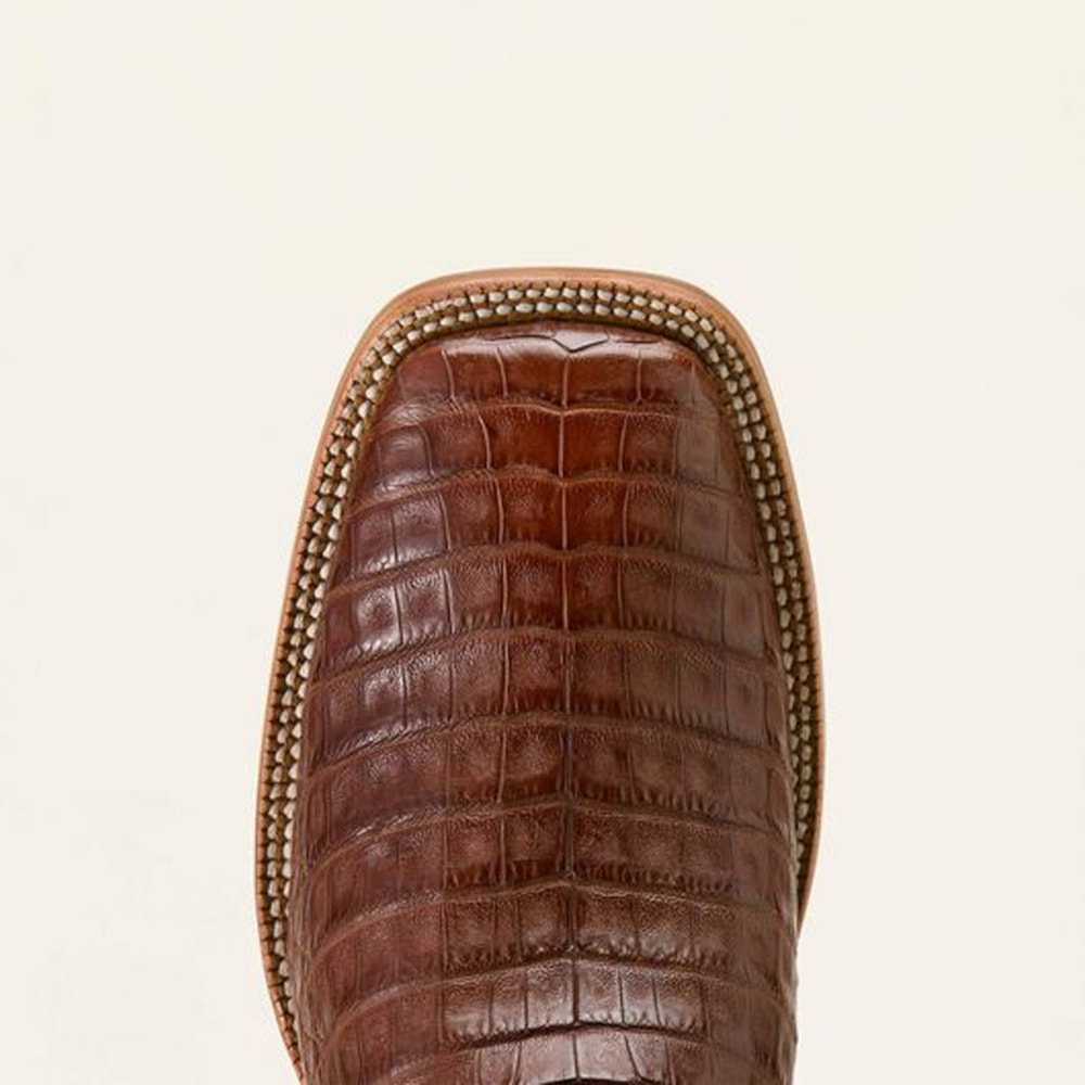 image_4b90b145-e4bc-4c44-a1ee-97df46afa328