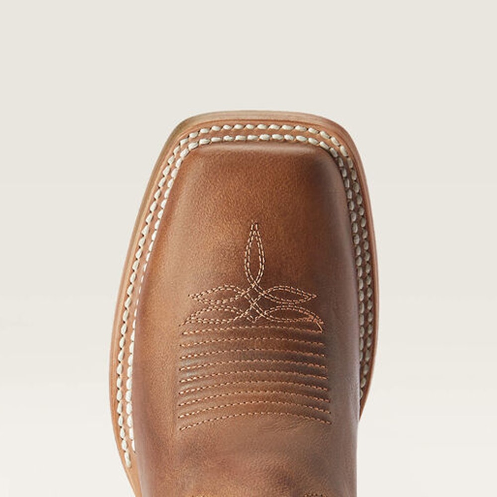 image_f6a419a3-cb20-490d-bf26-d8d5466480ec