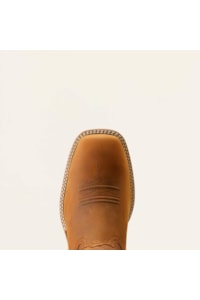 Bota Ariat Status Brown 10051047