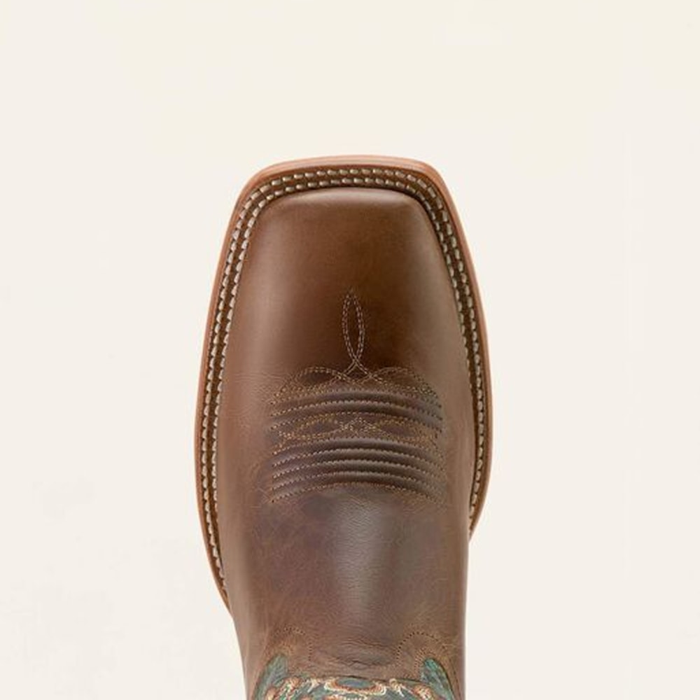 image_faeb6655-26f8-4438-ad23-bfaf37eba9b1