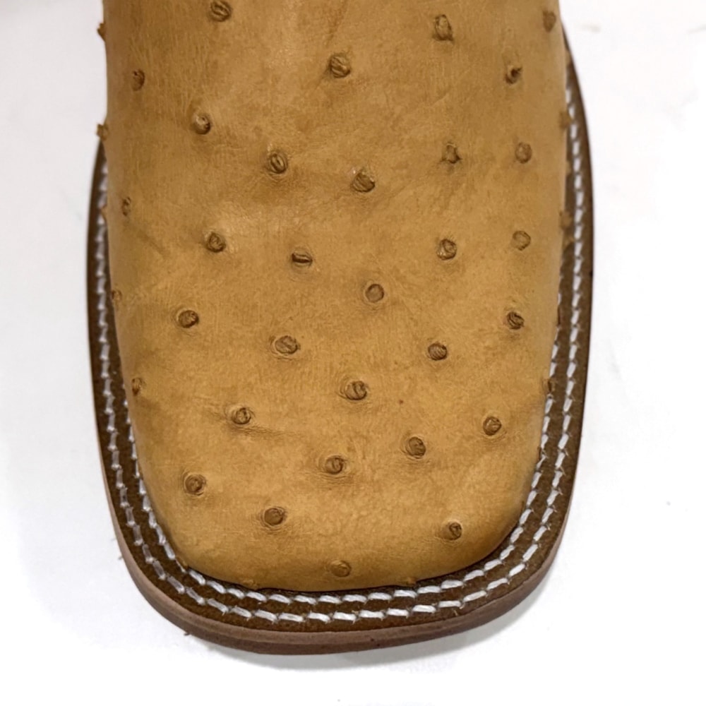 image_4fa38404-127a-4ae1-84cc-63aa5640adea