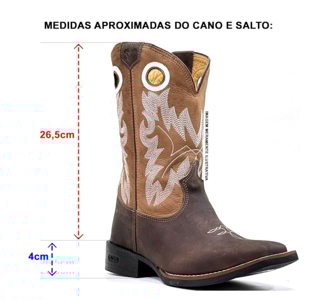 image_43825936-be45-48f0-b554-a9bd2311ab9f