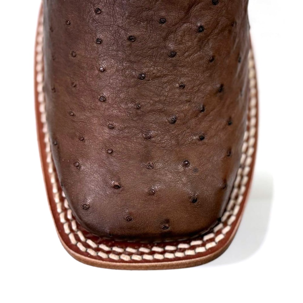 image_586f5250-3b29-4155-99d1-bc433b3ecdeb