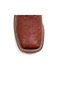 Bota Goyazes Avestruz Whisky/ Dls Tab 211502-AC