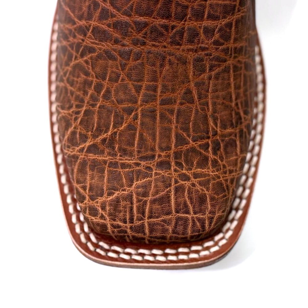 image_3773ff40-8026-43c5-8459-20906edf9a96