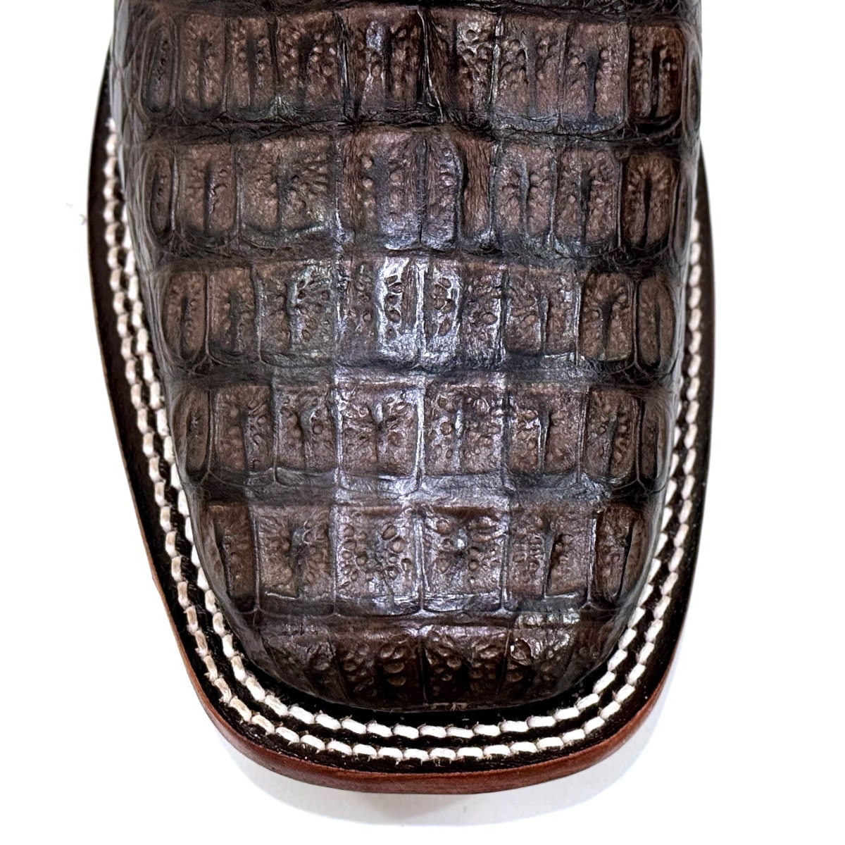 Bota Goyazes Jacaré Barriga Café/Mustang Café 244802-JC | Cris & Cia