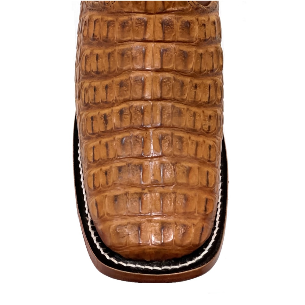 image_1d34537f-8ead-4399-8069-238533c8b592