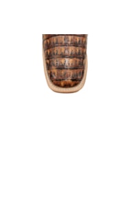 Bota Goyazes Jacaré Old Havana/Dls Café H193203-JC
