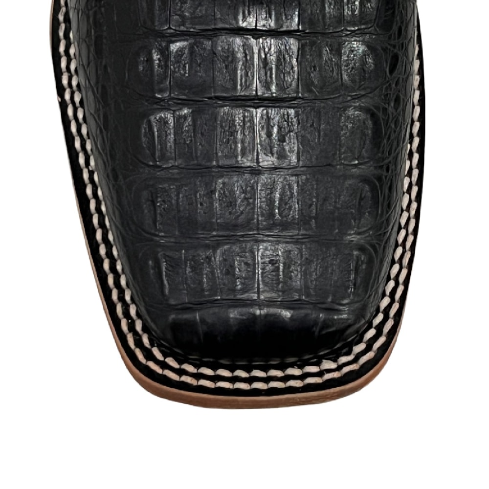 image_9c87c366-61e1-437b-b56e-2d089b4f961a