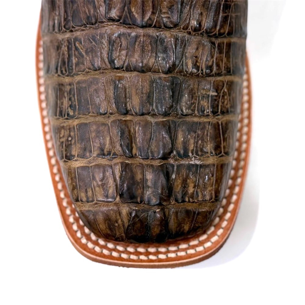 image_64aa3690-b6fb-491a-8609-f423805150d8