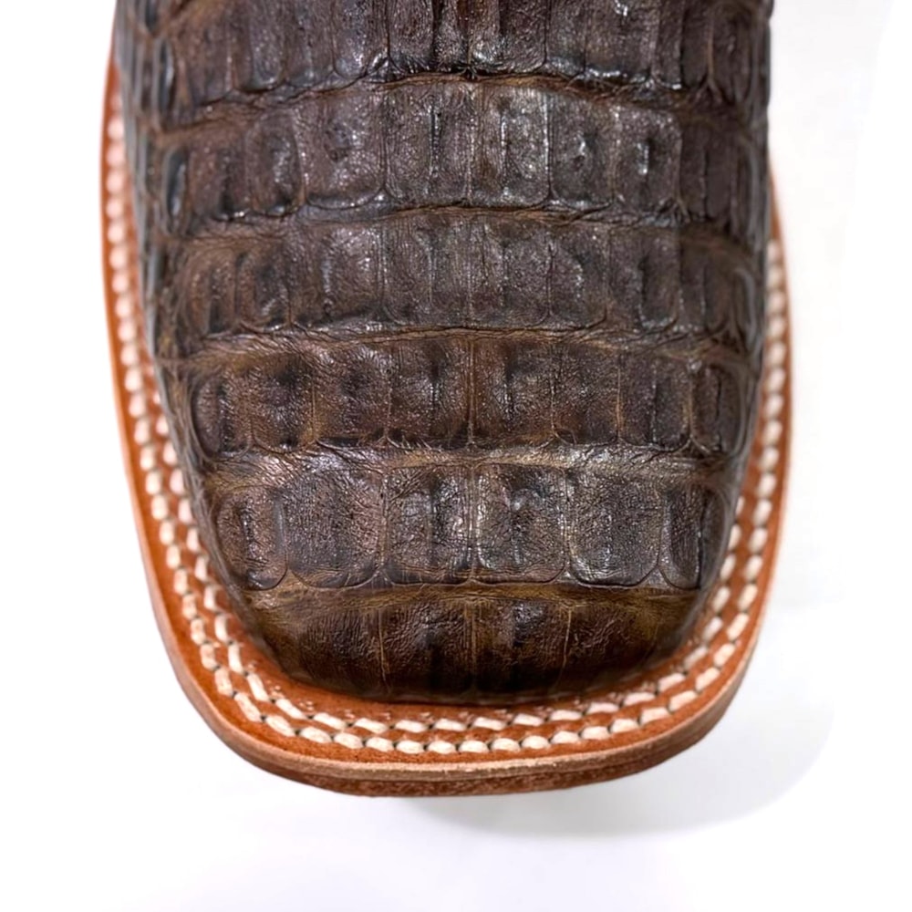 image_5122832a-5a76-4b70-aa82-ac668bf826d8