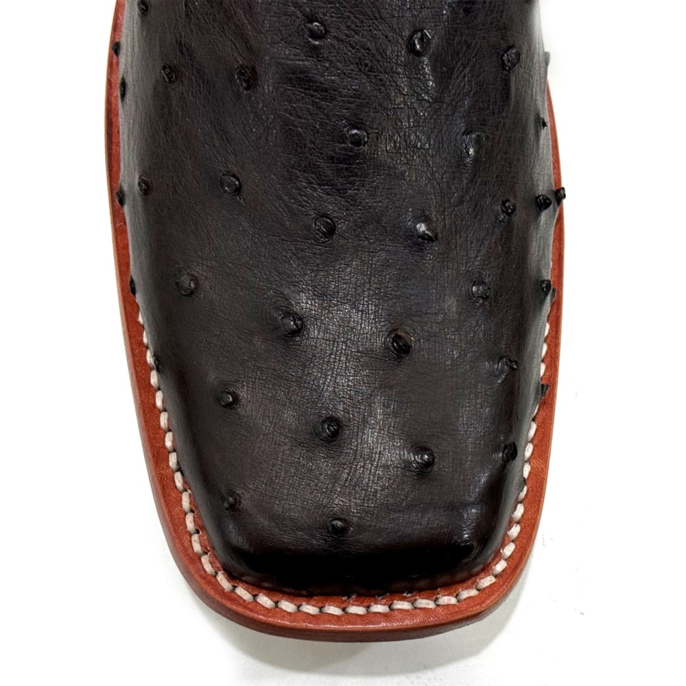 image_dc8a783e-d58e-4003-bebd-e3e081463af0