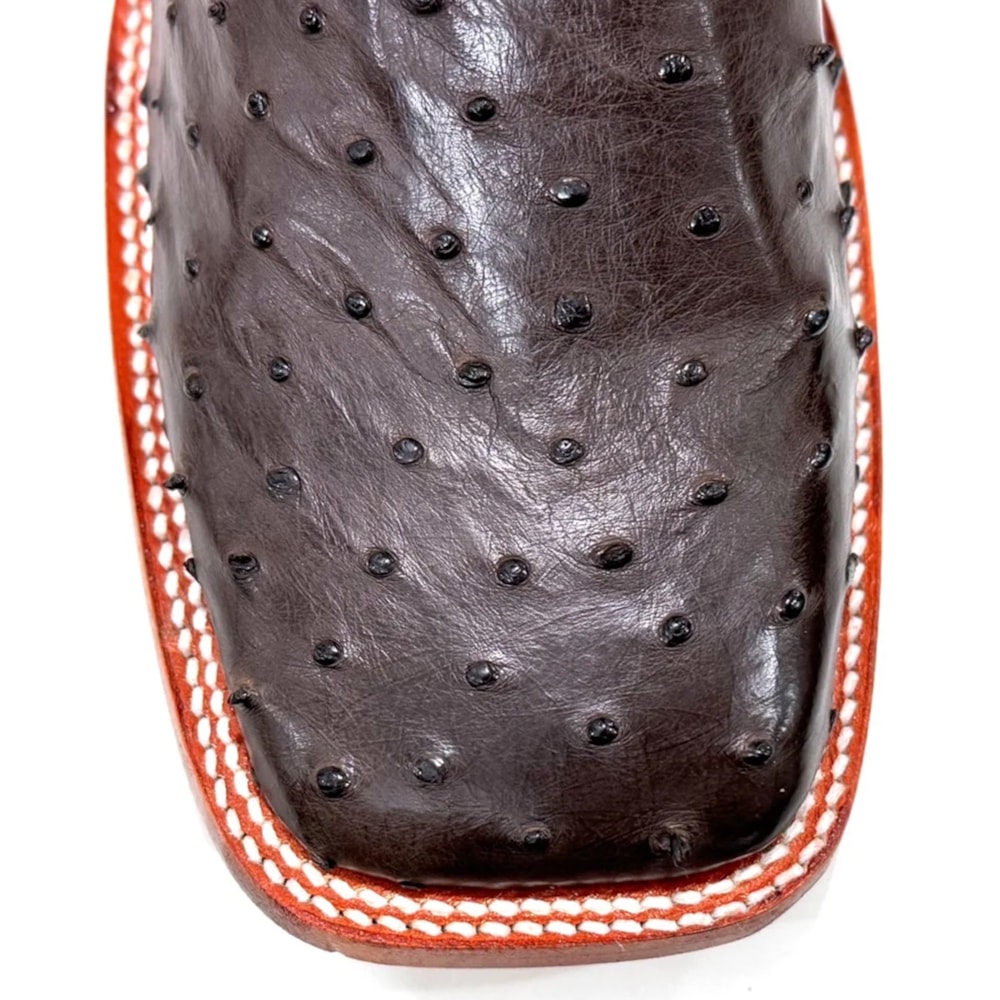 image_702ab9f3-8627-4b66-83a7-b916ba28b434