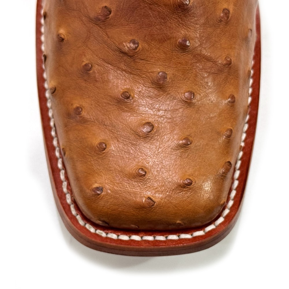 image_c696d1c5-3109-4f1d-b2fb-fc4333bfeb88