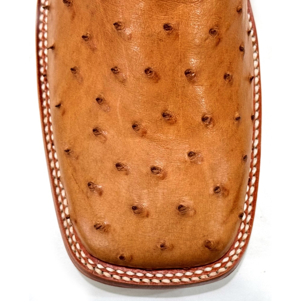 image_0ef4c127-c6d4-4aff-a827-7d84fd346449