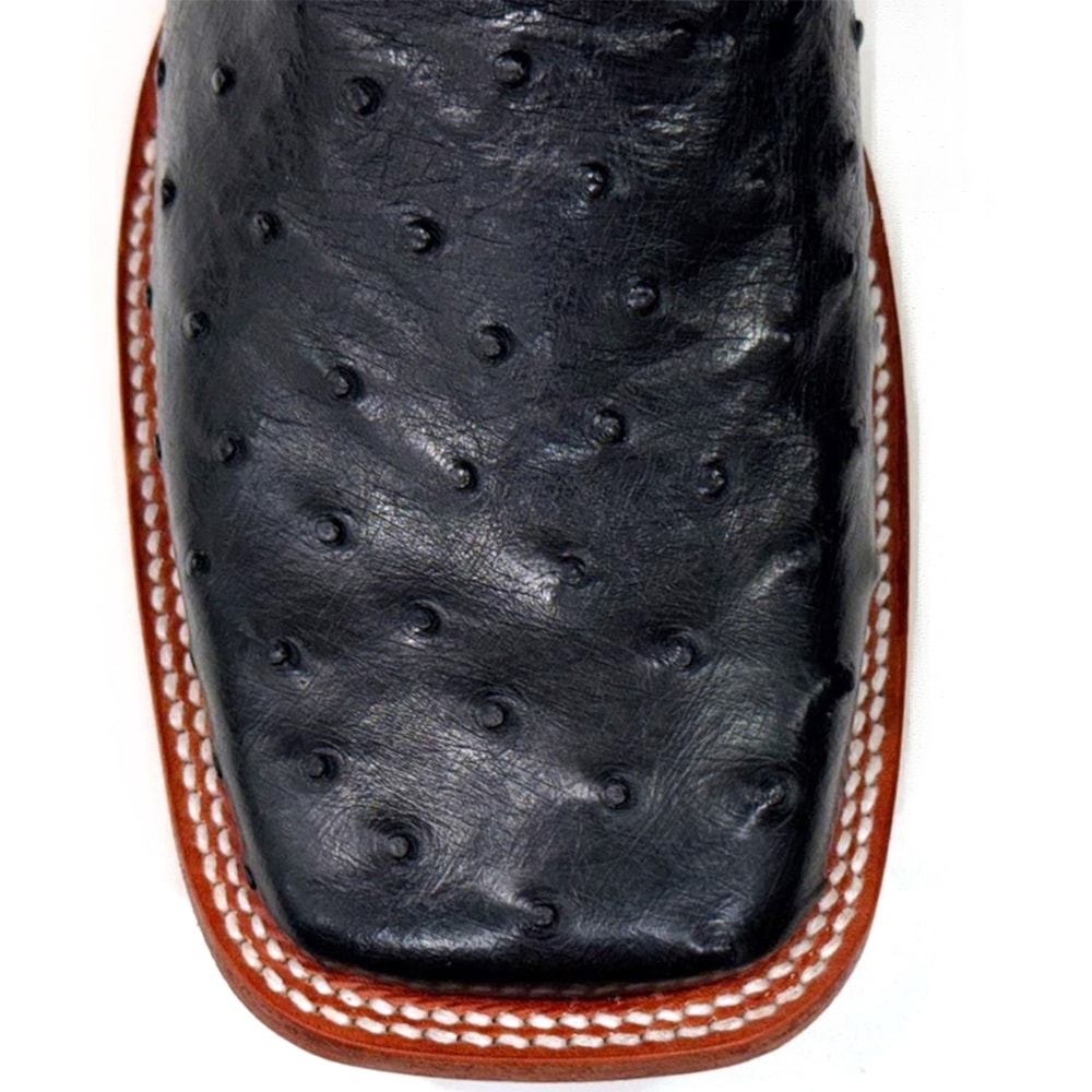 image_979d4e09-e6fd-4e8c-8732-2c1bd15137f3