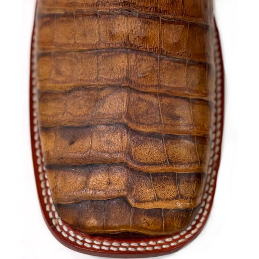 image_88cffa46-0d5e-4f8d-a0ef-be41d0970834