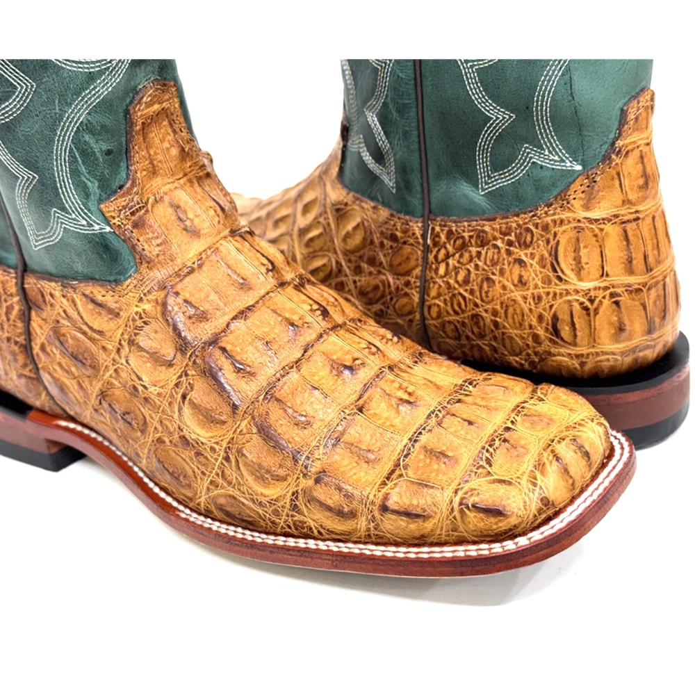 image_d3b2f204-e449-418c-93ca-a853b5882d98